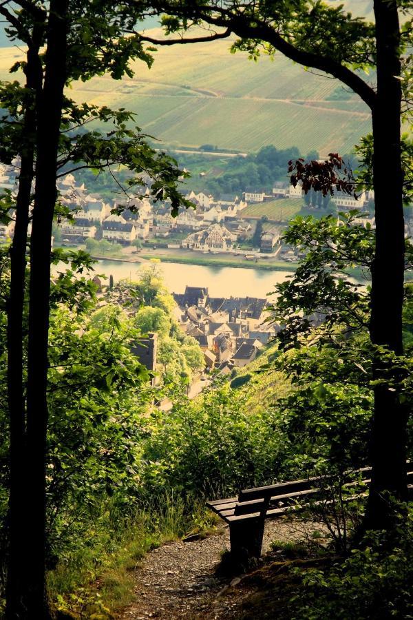 Mosel Panorama Zell an der Mosel Exterior foto
