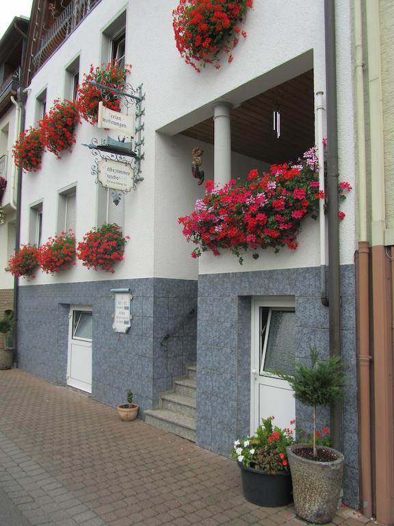 Mosel Panorama Zell an der Mosel Exterior foto