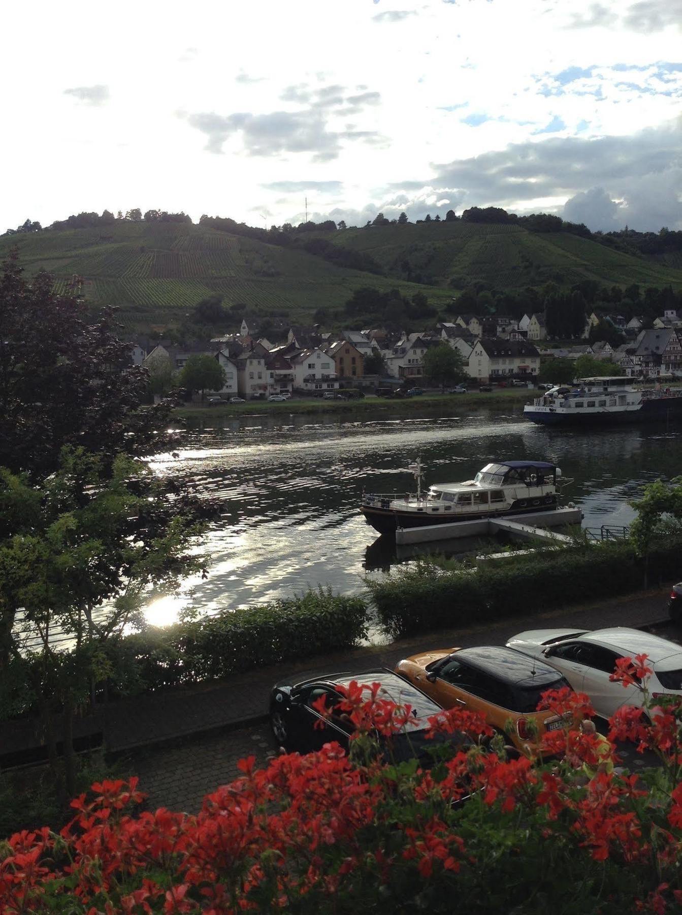 Mosel Panorama Zell an der Mosel Exterior foto