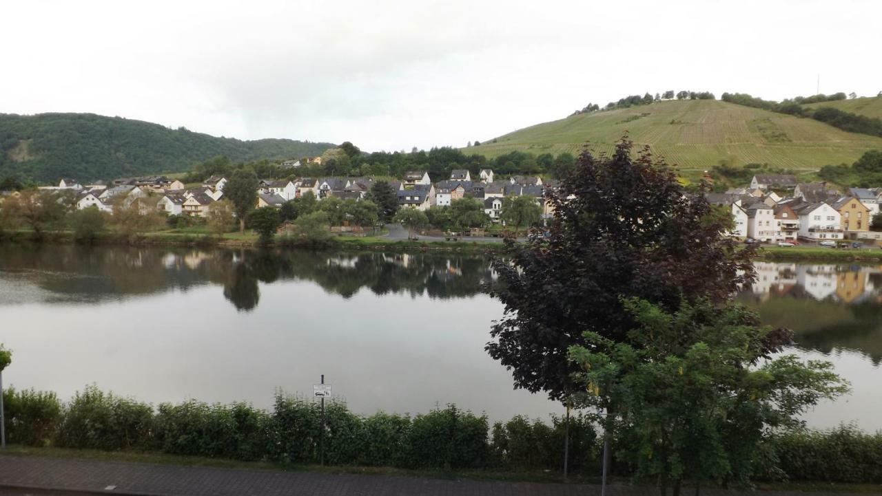 Mosel Panorama Zell an der Mosel Exterior foto