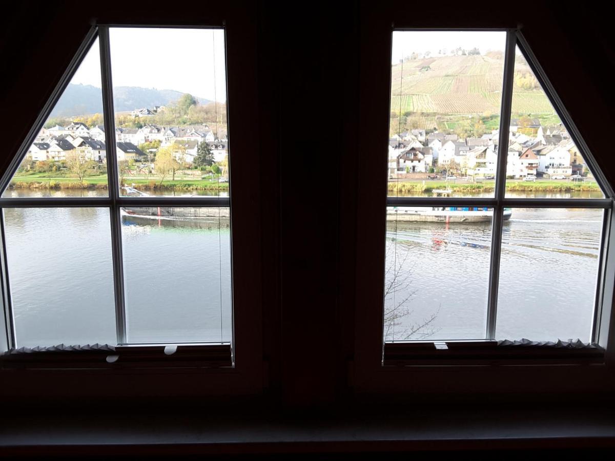 Mosel Panorama Zell an der Mosel Exterior foto